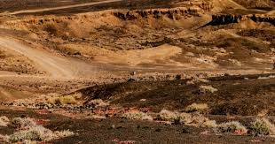 [综合]柯丝蒂·考文垂当选国际奥委会新一任主席