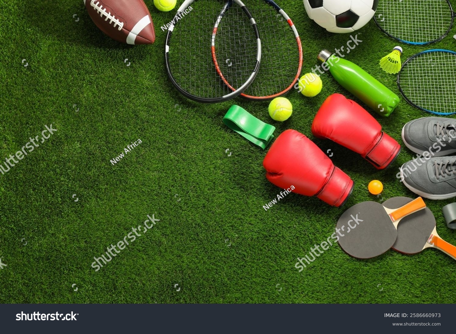 [德甲]弗赖堡不敌法兰克福 无缘下赛季欧冠