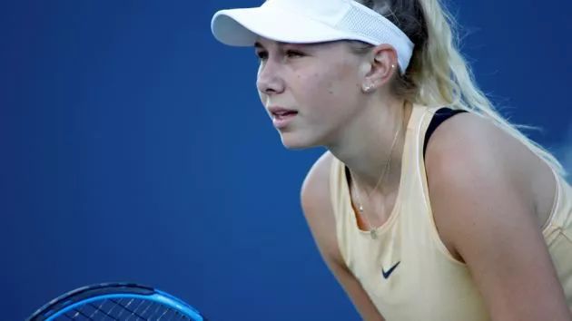 在球场上 在球场上